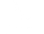 Pareydies_Logo_negativ.png